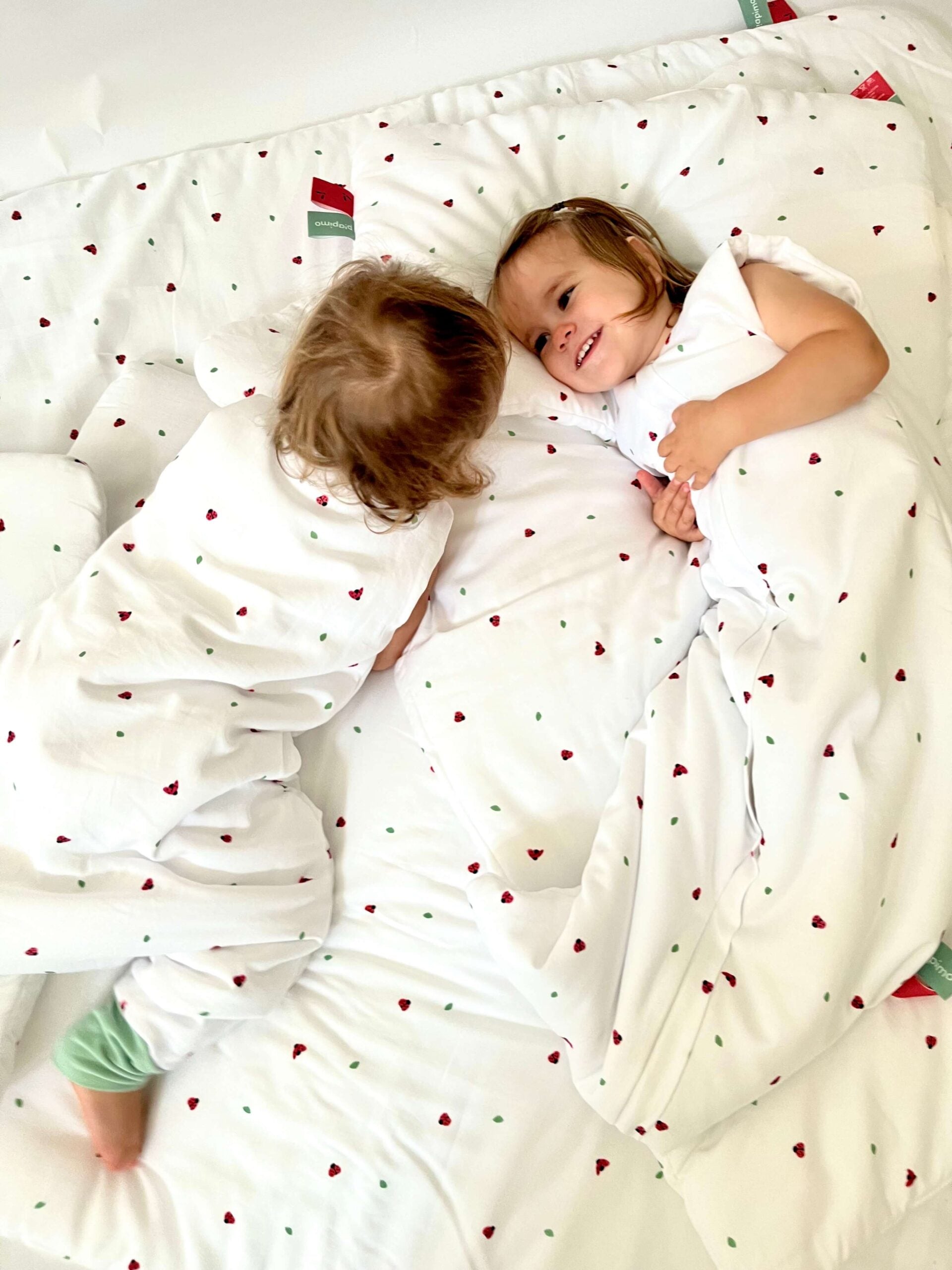 Śpiworek 1.0 TOG 6-18 mies. kolekcja Biedronki Coccinella (B2B)